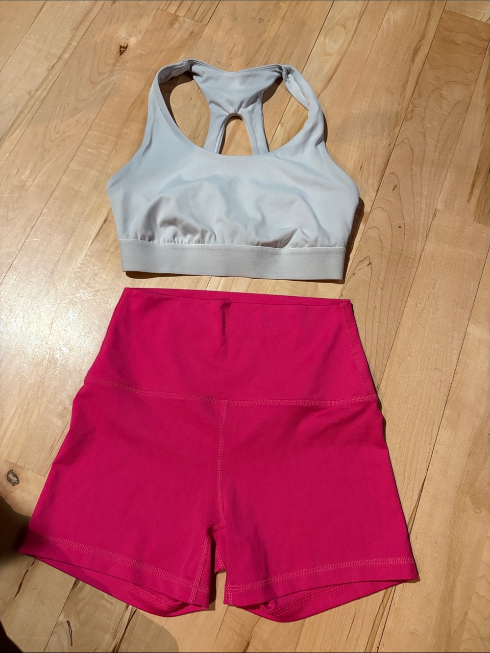 Gilly hicks High-Waist Women’s Active Shorts in Fuchsia and bra sz small